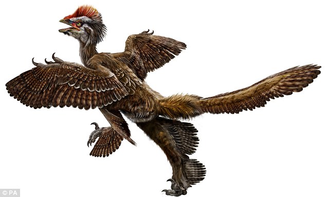 dinosaurs evolved into birds