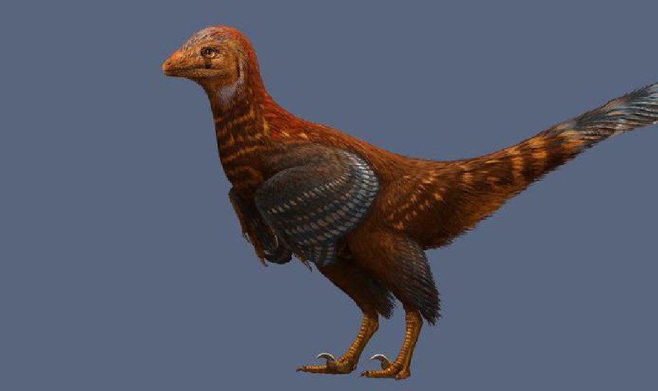 real dinosaurs had feathers