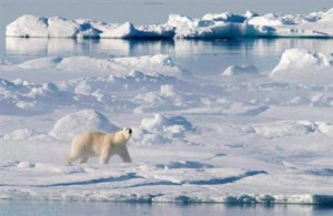 Canada to file claim to expand its Arctic seafloor boundaries