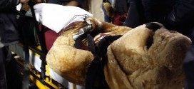 Mississippi State Mascot Injured by ESPN Cart