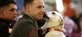 Sargent Ross Gundlach reunited with bomb sniffing dog