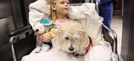 Dog helps docs in Duke surgery