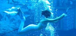 Weeki wachee springs mermaids