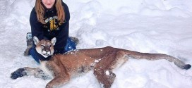 Girl, 11, shoots cougar to save brother