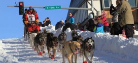 Alaska's Iditarod sled dog race kicks off this weekend