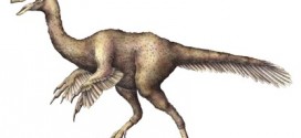 Anzu wyliei : New dinosaur called the Chicken From Hell