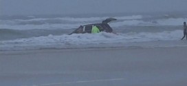 Mom drives van into ocean