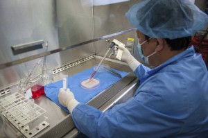 Lab-grown parts work well in clinical trials