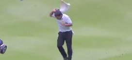 Pablo Larrazabal attacked by hornets