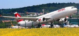Swiss Airline Adds Allergy-Friendly Flights