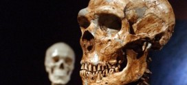 Neanderthals 'as clever as modern humans', Say Scientists