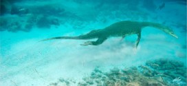 Ancient long-necked 'sea monsters' rowed their way to prey, Report