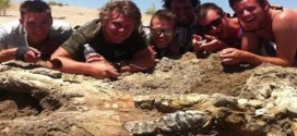 Bachelor party finds rare mastodon fossil