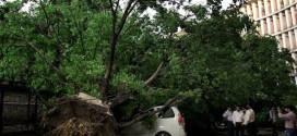 Nine people died in Delhi dust storm