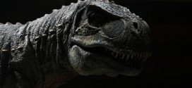 Dinosaurs Were Neither Warm Nor Cold Blooded, Study