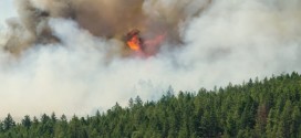 BC residents on alert as forest fires continue to burn, Report