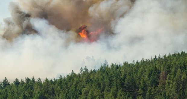 BC residents on alert as forest fires continue to burn, Report