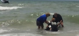 Baby dolphin rescued off Florida Beach