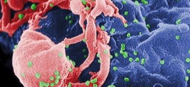 Celgene Drug has Great Potential for HIV Therapy, study claims