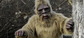 DNA Tests Find No Bigfoot, Possible Yeti : New Study