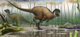 Dinosaurs all had feathers, New Study