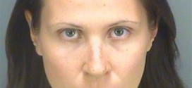 Florida Woman Leaves Toddler in Car