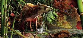 Hedgehog and tapir fossils found in British Columbia