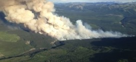 High temperatures raising concerns about wildfires, Report