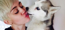 Miley Cyrus Honors Her Late Dog Floyd with New Tattoo