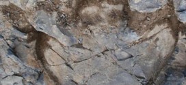 Researchers Discover Thousands of Dinosaur Footprints in Alaska