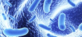 Smartphone app tracks how gut bacteria affect health, Study