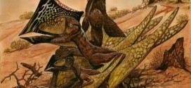 Ancient Flying reptiles' elaborate “head dresses” discovered