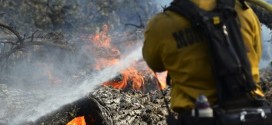 Bakersfield : 8 homes destroyed, 1000 threatened by wildfire