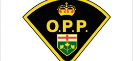 Six arrested for drunk driving in Essex County : OPP