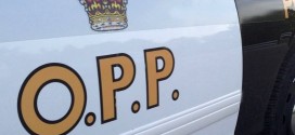 OPP : Minivan clocked at 171 km/h on Highway 401