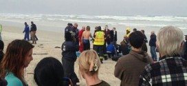 Shark attacks surfer at Muizenberg