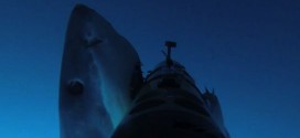 Watch great white sharks hunt an underwater robot