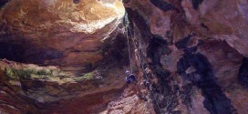 Researchers Discover Bones Of Prehistoric Animals In An Ancient Wyoming Cave