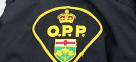 60 people charged in OPP child porn probe : OPP