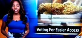 Charlo Greene : Reporter quits on air, reveals she owns cannabis club (Video)