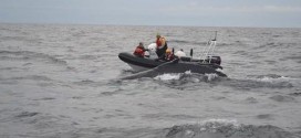 Entangled whale freed off Bar Harbor