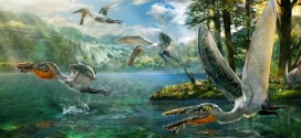 New Pterosaur resembling 'Avatar' extras unearthed in China