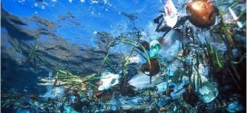 Ocean holds garbage patches twice as big as texas, new study finds