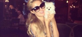 Paris Hilton buys world's smallest Pomeranian