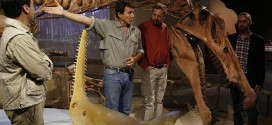 Spinosaurus: Skeleton of giant water-living Dinosaur unveiled in Morocco