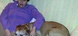 Excalibur euthanized : Spain kills dog of woman with Ebola