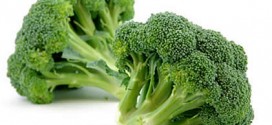 Researchers Gain Autism Insight By Studying Broccoli