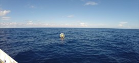 Reza Baluchi : Man in inflatable bubble rescued off Fla.