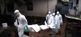 United Nations worker dies of Ebola in German hospital