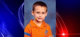 Branson Riley Carlisle : 5-year-old Albertville boy dies from brown recluse bite